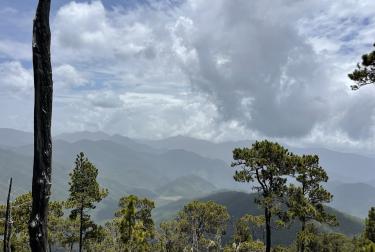 Madre de las Aguas Biosphere Reserve (Dominican Republic)